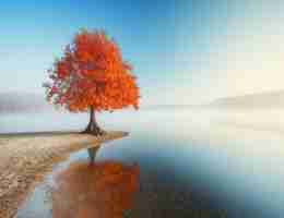 国﻿内‍做​seo最​好﻿公﻿司‌是‌哪﻿家‌